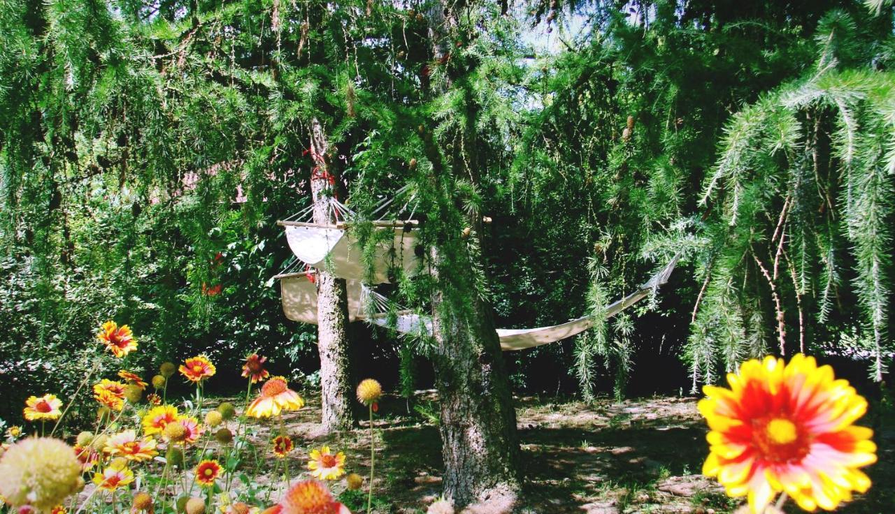 Agroturystyka Pod Modrzewiami Nowy Tomysl Bagian luar foto