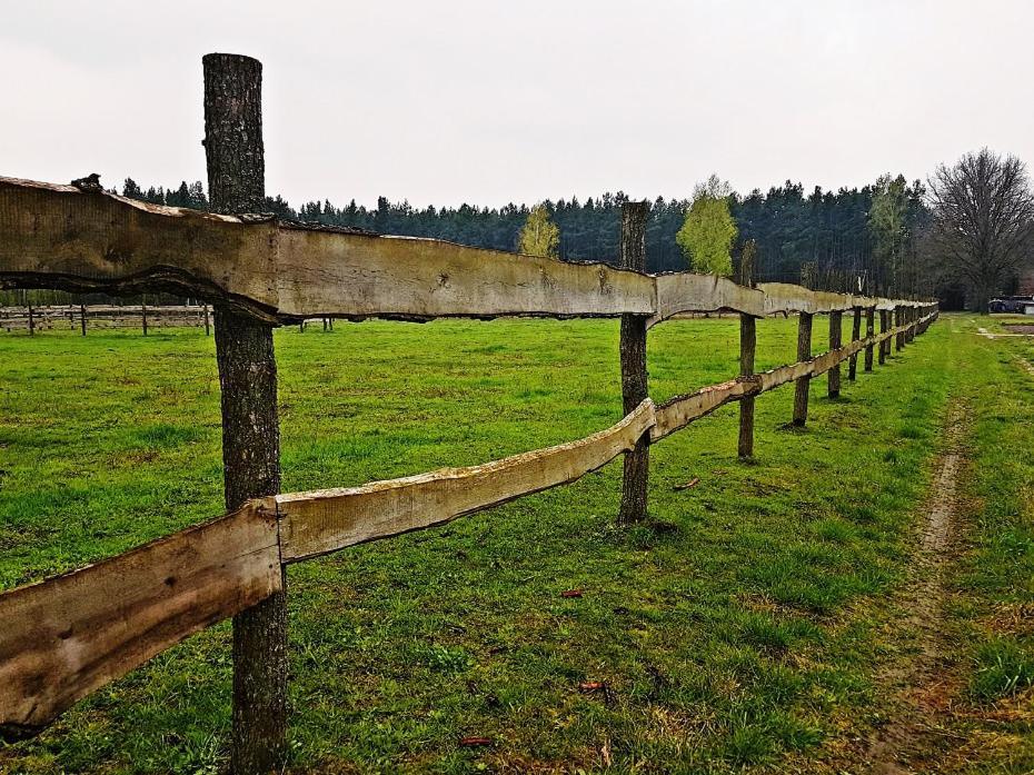 Agroturystyka Pod Modrzewiami Nowy Tomysl Bagian luar foto