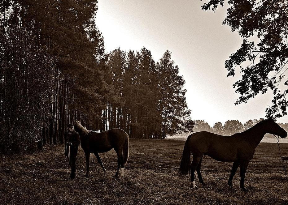 Agroturystyka Pod Modrzewiami Nowy Tomysl Bagian luar foto