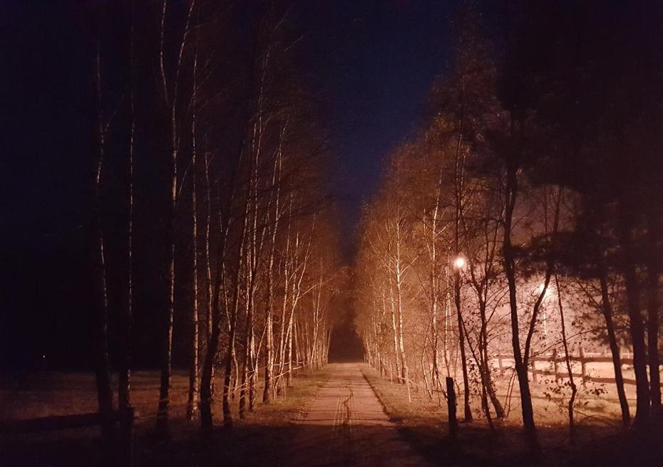 Agroturystyka Pod Modrzewiami Nowy Tomysl Bagian luar foto