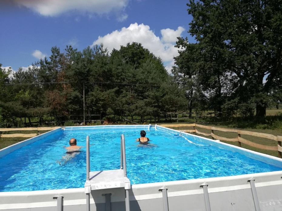 Agroturystyka Pod Modrzewiami Nowy Tomysl Bagian luar foto